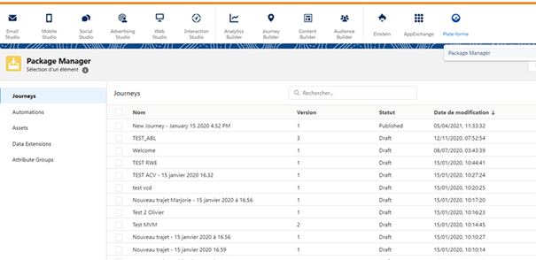 Package Manager